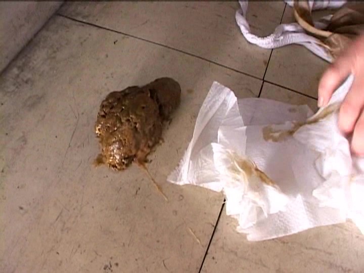 サンプル画像 15