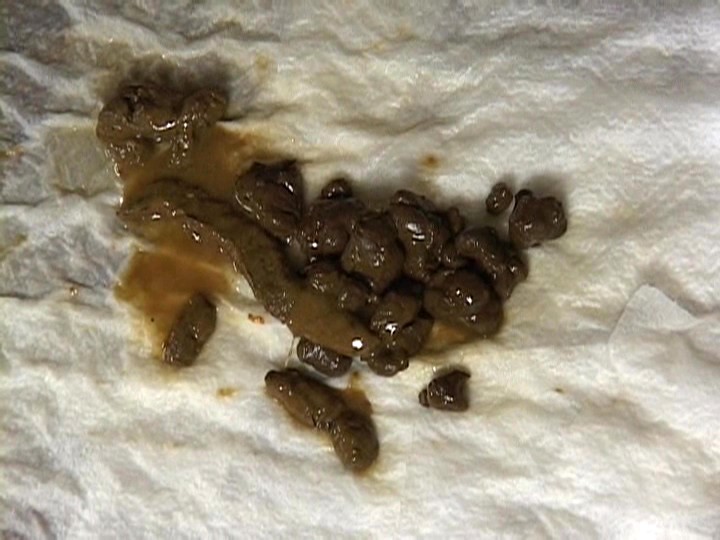 サンプル画像 6