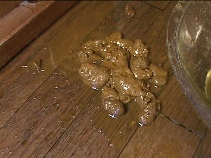 サンプル画像 8