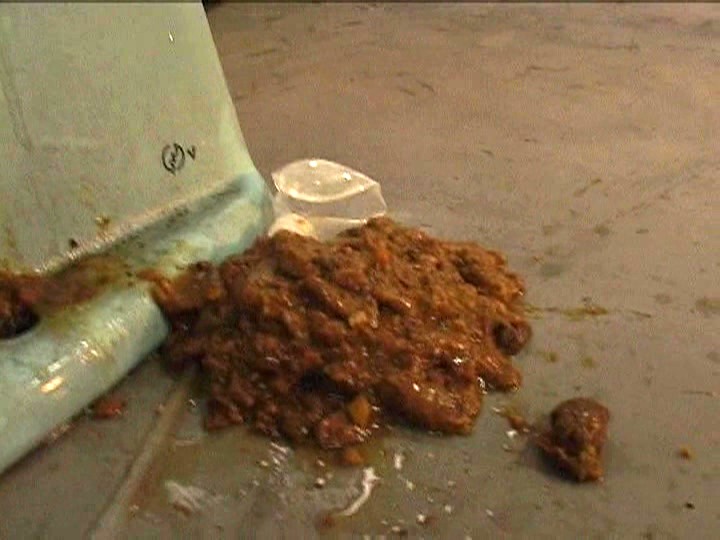 サンプル画像 7