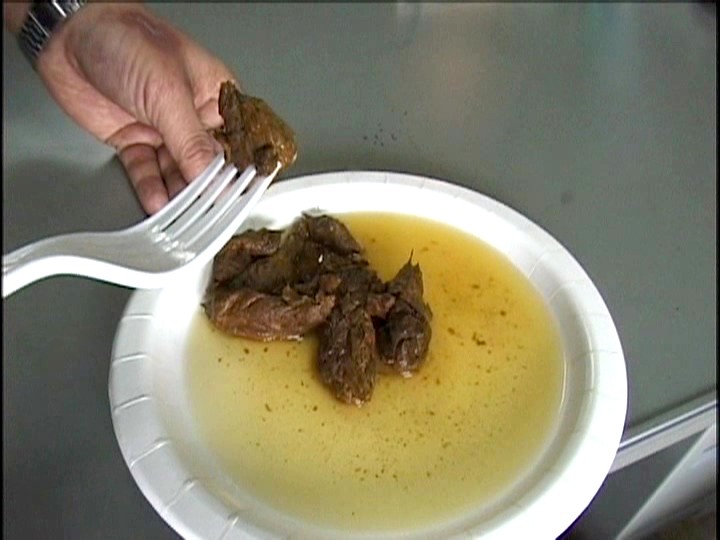 サンプル画像 11