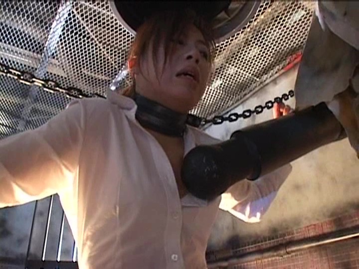 サンプル画像 13