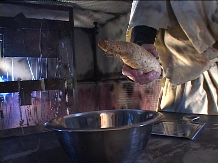 サンプル画像 15