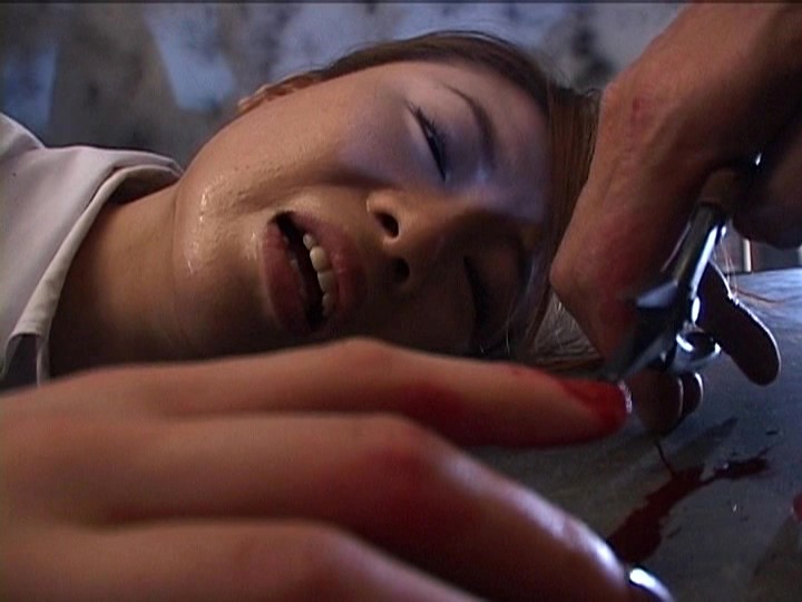 サンプル画像 5