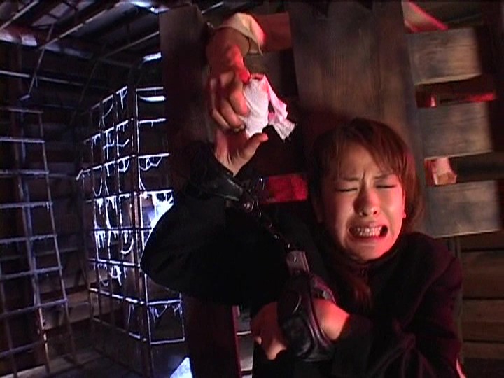 サンプル画像 14