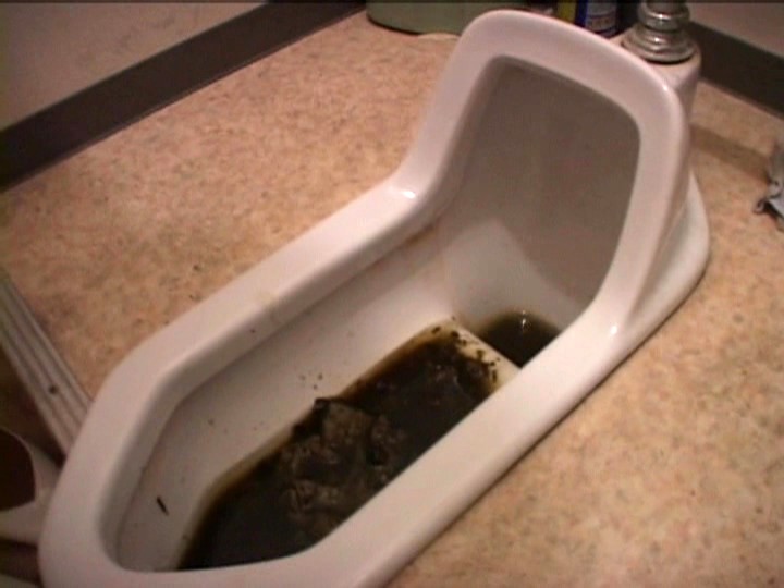 サンプル画像 11