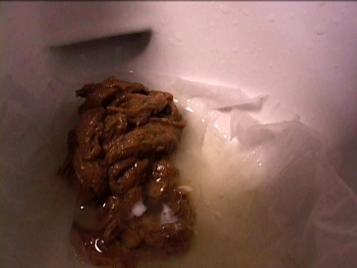 サンプル画像 16