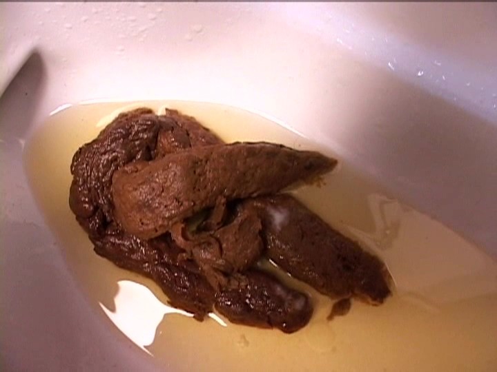 サンプル画像 20