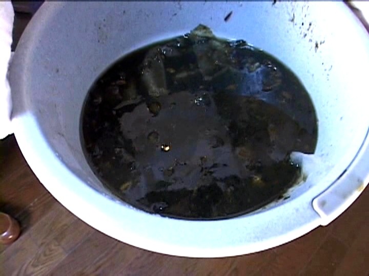 サンプル画像 10