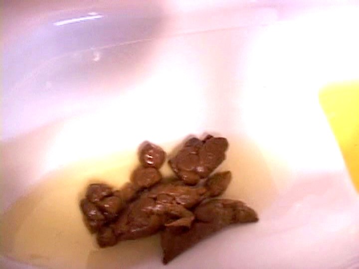 サンプル画像 9