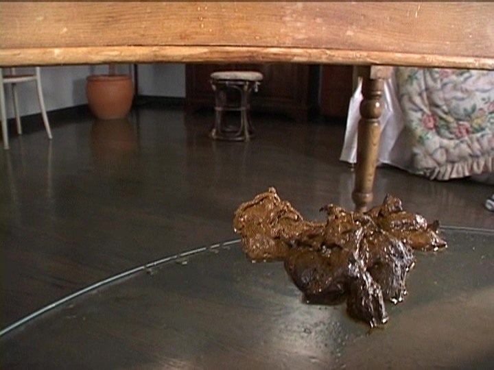 サンプル画像 6