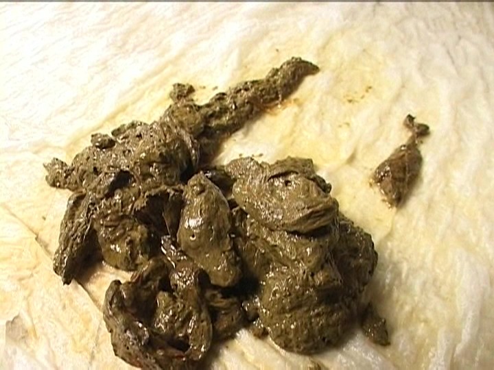 サンプル画像 6