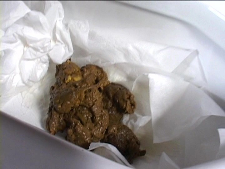 サンプル画像 6