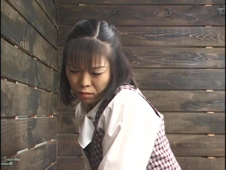 サンプル画像 13