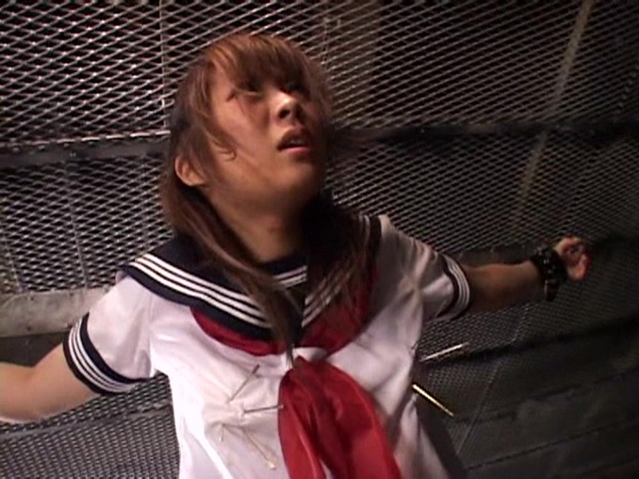 サンプル画像 13