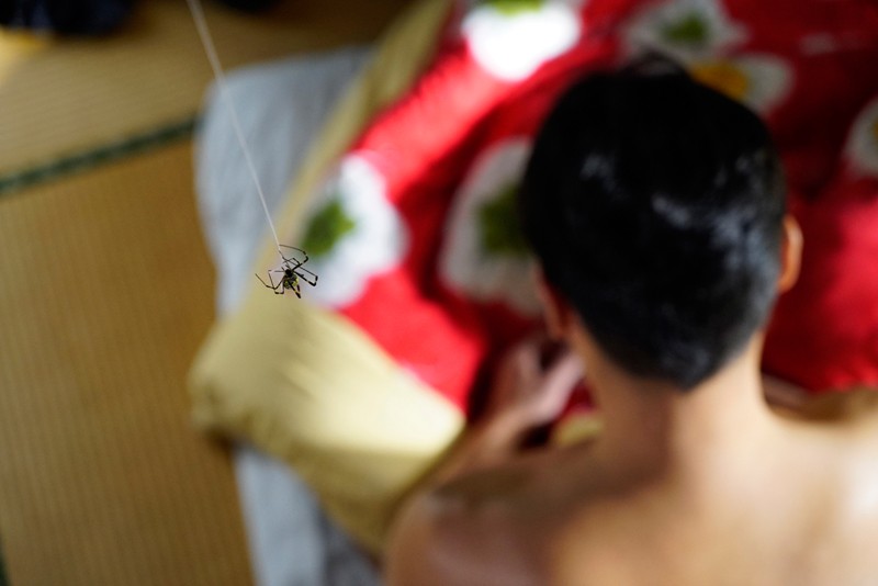 サンプル画像 21