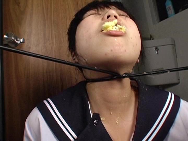 サンプル画像 14