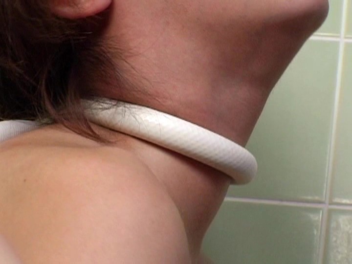 サンプル画像 20