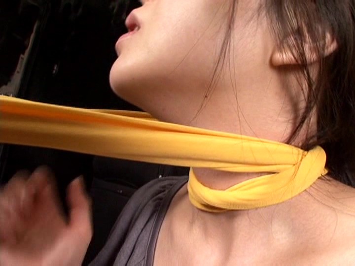 サンプル画像 14