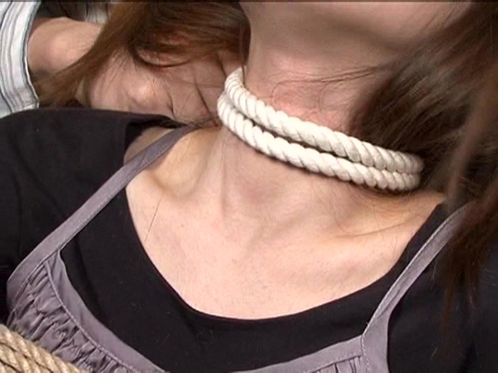 サンプル画像 8