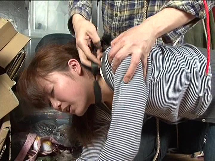 サンプル画像 13