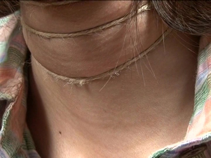 サンプル画像 13