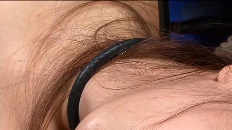 サンプル画像 8