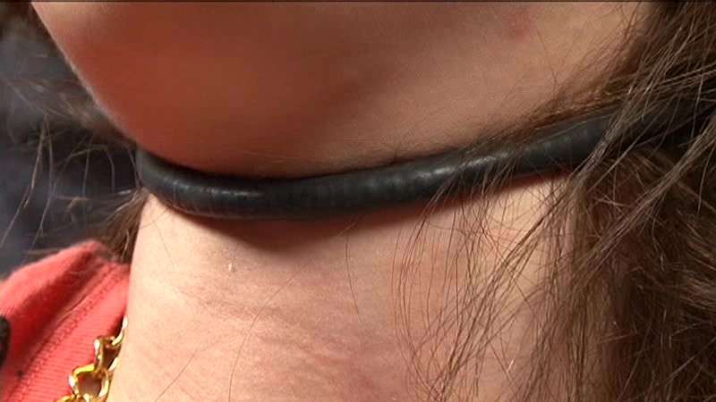 サンプル画像 9