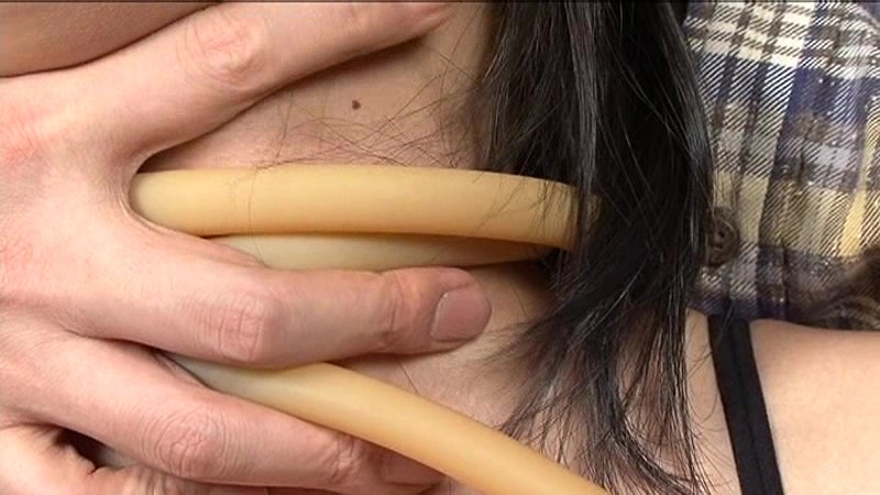 サンプル画像 12