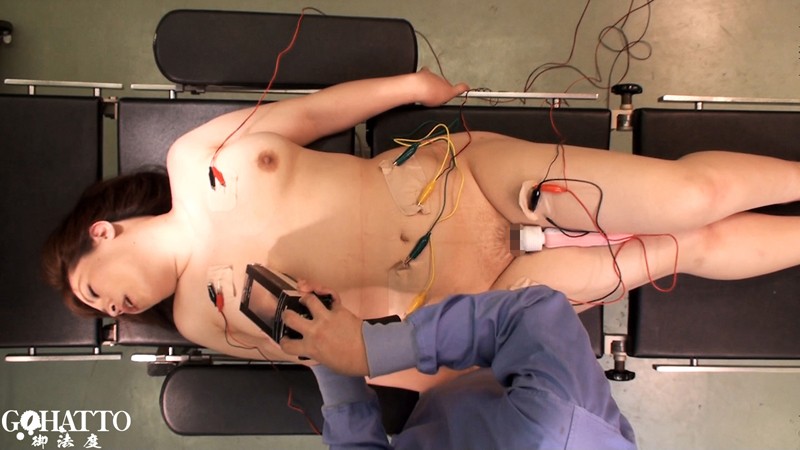 サンプル画像 8