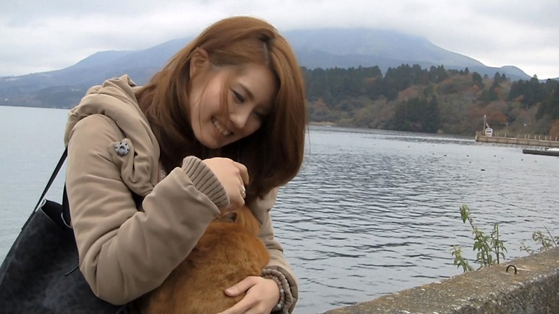 サンプル画像 3