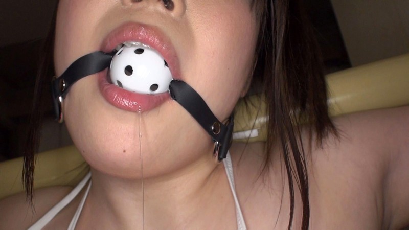 サンプル画像 14