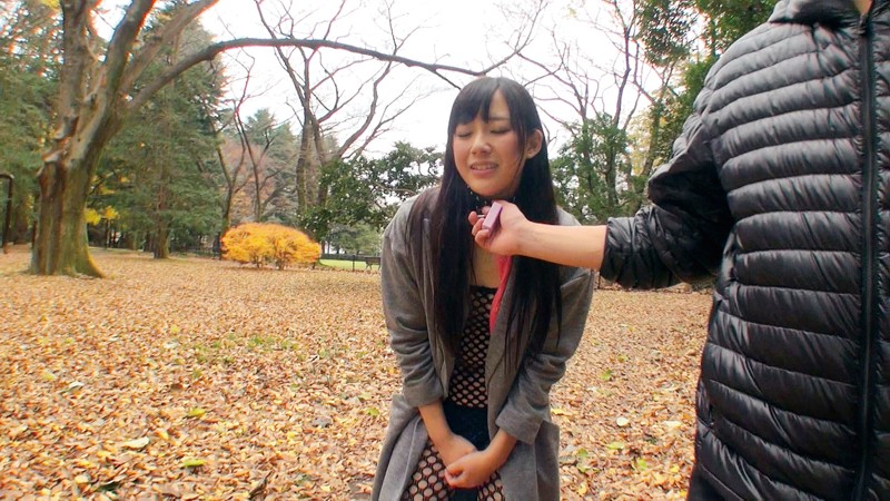 サンプル画像 8