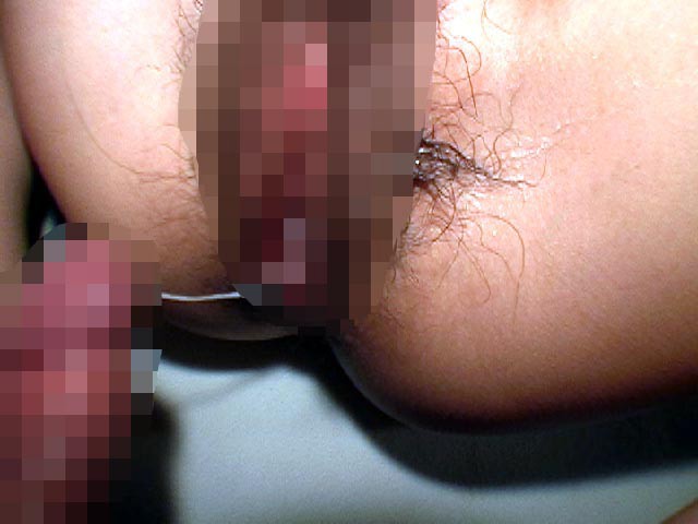 サンプル画像 16