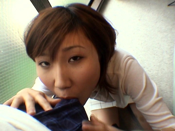 サンプル画像 9