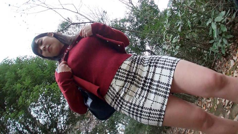 サンプル画像 3