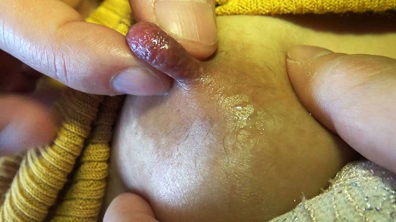 サンプル画像 5