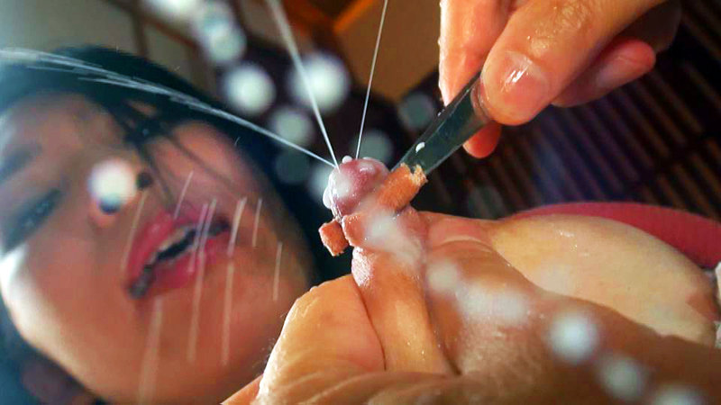 サンプル画像 4