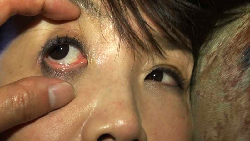 サンプル画像 12