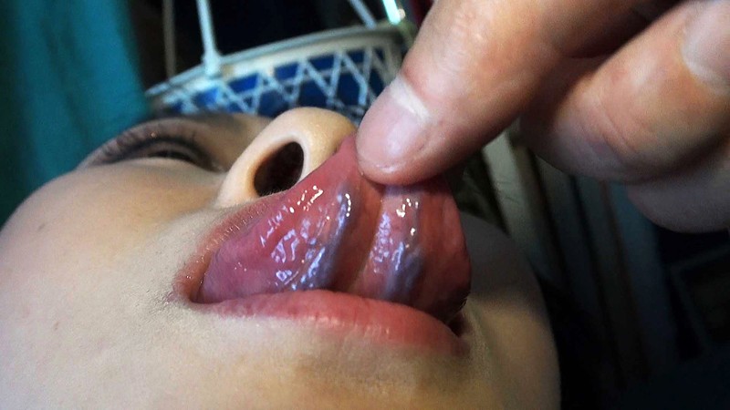 サンプル画像 4