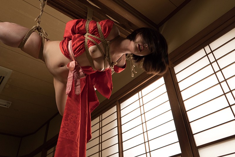 サンプル画像 8