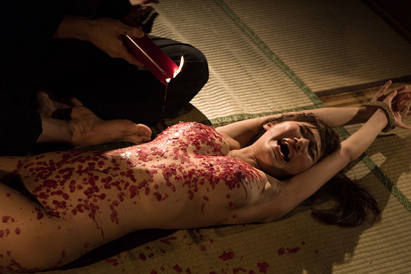 サンプル画像 17