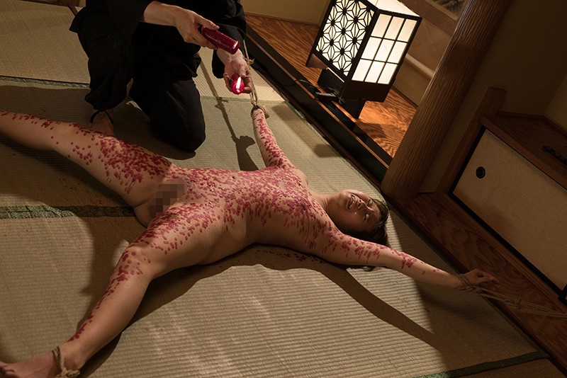 サンプル画像 3