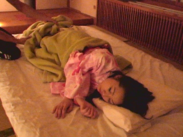 サンプル画像 2