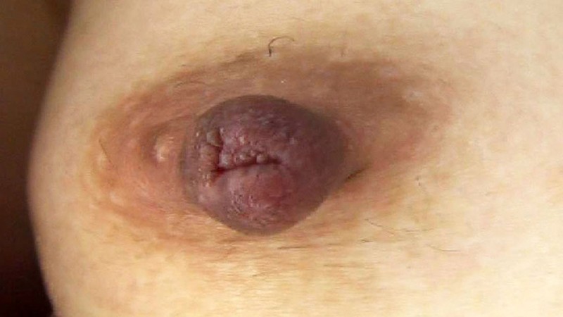 サンプル画像 19