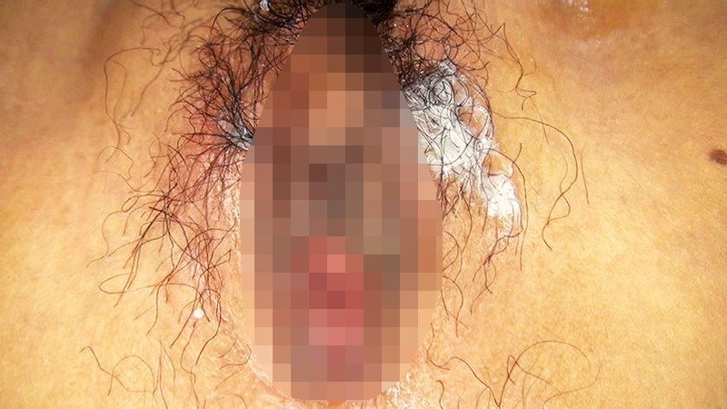 サンプル画像 16