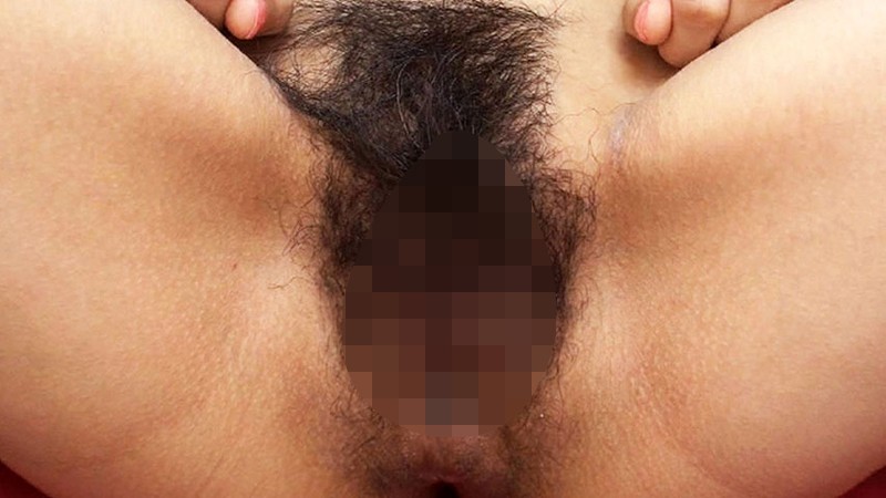 サンプル画像 5