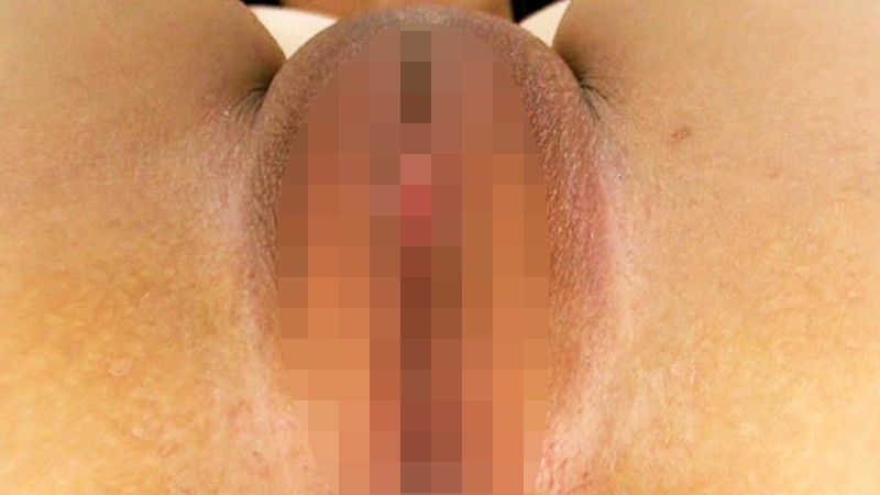 サンプル画像 8