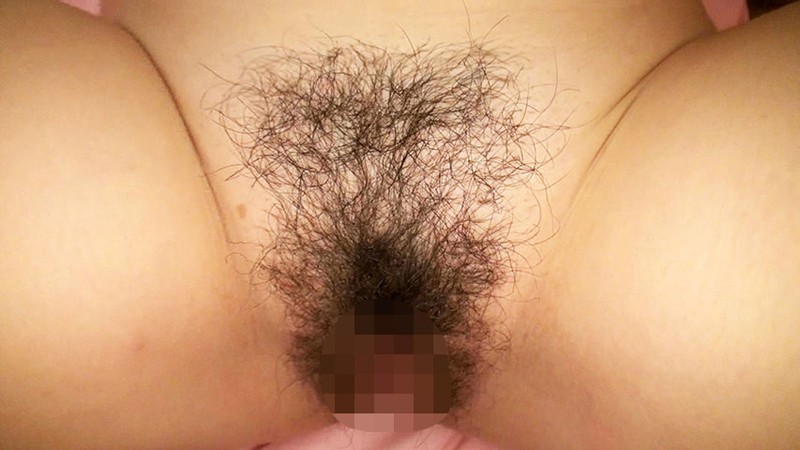 サンプル画像 12