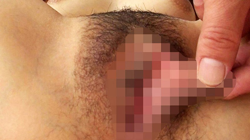 サンプル画像 7